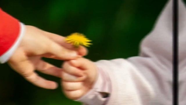 №22. ПРАКТИКА С ВЫСОКИМИ СТАВКАМИ. Руководство по сострадательной жизни. Пема Чодрон. Самопознание смотреть онлайн