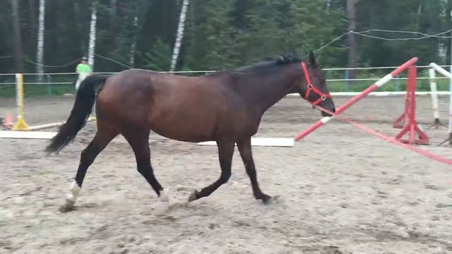 Движение по малому кругу смотреть онлайн