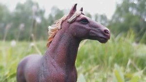 Сериал шляйх Любовь без границ серия 5 (План)