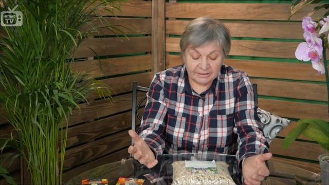 Люпин. Самые полезные сидераты. смотреть онлайн