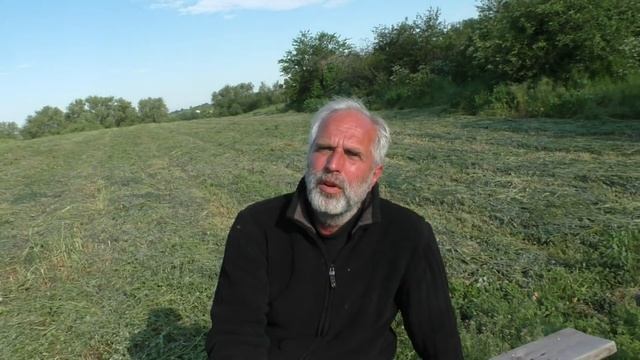 Ф134.1ч. Яксон А.В. разговор о без круж . голубях и не только ... смотреть онлайн
