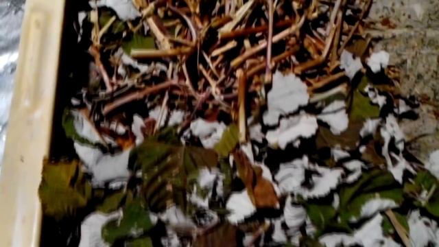 ПАН91 Субстрат для разведения выращивания червей и получение лучшего биогумуса.