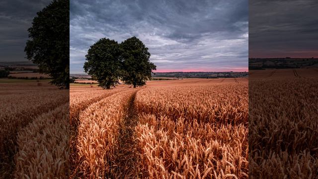 Русская природа, видео монтаж Ariana Iskander , муз С Чекалина , разрешено. смотреть онлайн