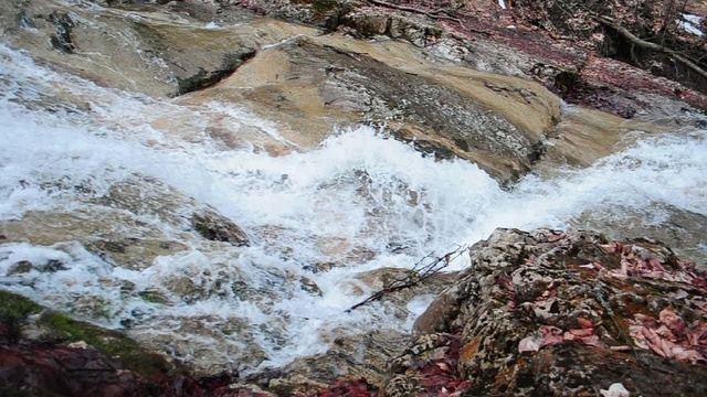 DSC_2514 смотреть онлайн