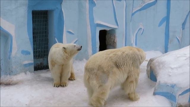 У Герды ещё не прошёл конфетно-букетный период 22.03.2021 смотреть онлайн