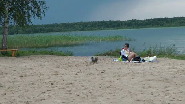 Хозяйка пляжа смотреть онлайн