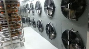 Камера сушки вяления рыбы (мяса) загрузкой 1500кг для сушки вяления на шампурах или сетках