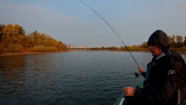 На микроджиг жирные караси и окуни /силикон с AliExpress смотреть онлайн