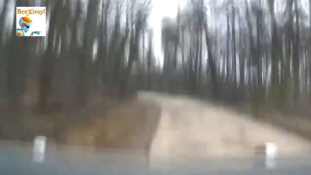 ParkCity DVR HD500 - обзор от Vse-hochu.ru