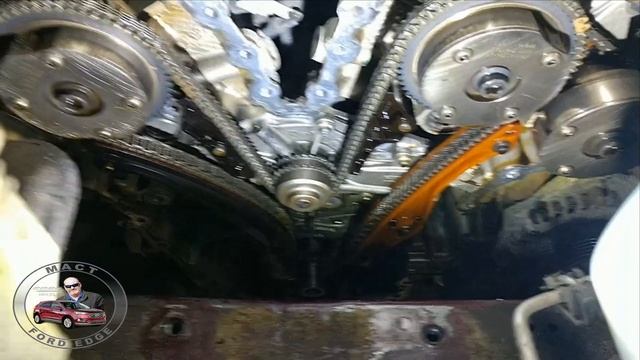330,000 mile water pump failure in the cleanest 3.5 Duratec engine you have ever seen смотреть онлайн