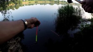 Поплавочная УБИЙЦА КАРАСЯ монтаж снасти на летнюю удочку с скользящим поплавком