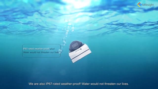 Milesight Next Generation Mini IP Camera Series 3 0