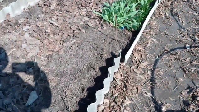 #Оформлення нового#квітника,ділю і саджу#хризантеми#флокси,мульчую# півонії. смотреть онлайн