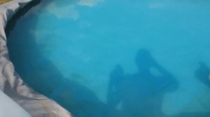 Альгицид для бассейна. Эксперимент.