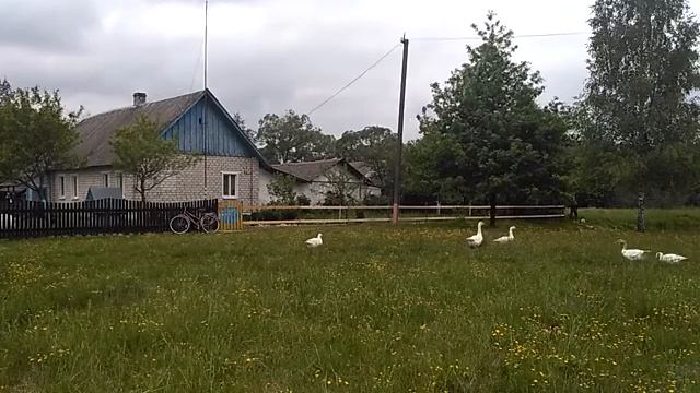 Как построить деревянный забор смотреть онлайн