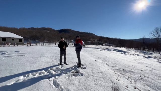 Дачу-Борзой Кладбища смотреть онлайн
