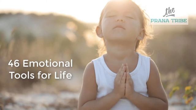 The Prana Kid's Meditation Cards' Amazing Benefits смотреть онлайн