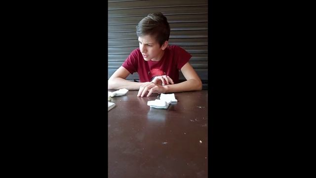 *ОБЗОР ИПП-8*