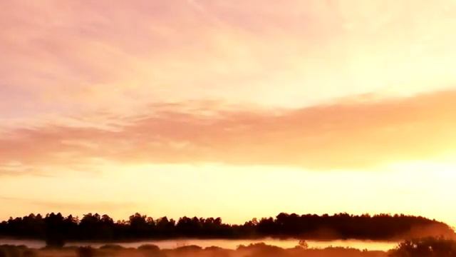 Relaxing music for a tired brain. смотреть онлайн