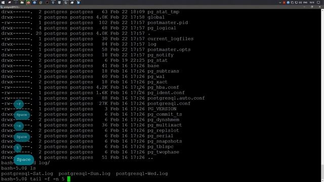 Shell волнение с PSQL 12 | Fedora Server 31 смотреть онлайн