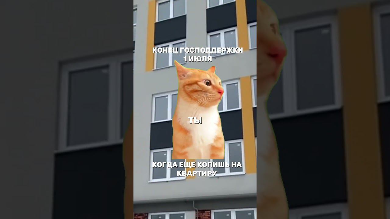 Как купить квартиру сейчас #юмор #video #ипотека #shortsvideo #кино #смех #ипотечныйброкер #прикол смотреть онлайн