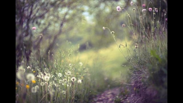 КАРМИЧЕСКИЕ УРОКИ. КОНТРАКТ. ДРАКОНОВАЯ ЦИВИЛИЗАЦИЯ часть 1 2018 СЕлена смотреть онлайн