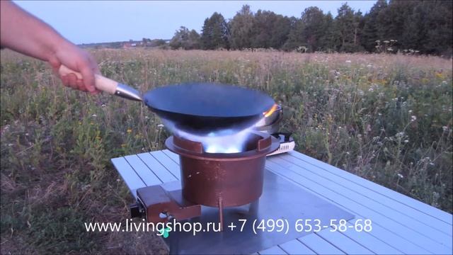 Горелка газовая 25 кВт CGS 25C1 смотреть онлайн
