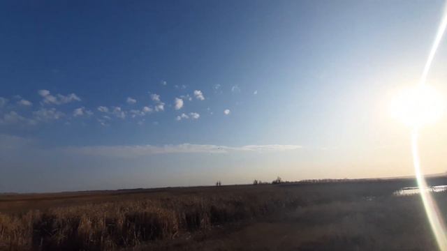 Как вы считаете? Когда нужно открывать охоту на перелетную птицу в волгоградской области????? смотреть онлайн
