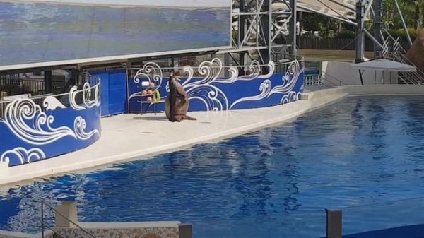 Я ПОСЕТИЛ THE LAND OF LEGENDS | ОБЗОР THE LAND OF LEGENDS | ОСТРОВ ЛЕГЕНД | ТУРЦИЯ