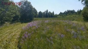 Сенокос мотоблоком роторной косилкой. (1.часть) #адаптер_на_мотоблок