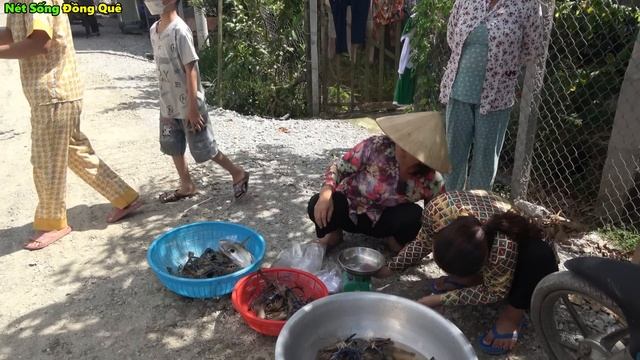 Lần Này Có Tôm Bán Rồi Lời Bạc Triệu Khi Bán "Tôm Càng Xanh" Của Cha Đem Về Thấy Mà Ham/ #1088 смотреть онлайн