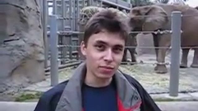 Самое первое видео Youtube 2005 год смотреть онлайн