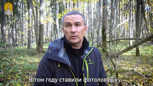 Фотоловушки ДПиООС 4