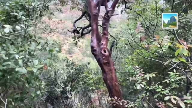 Огни Химеры на горе Янарташ (в Турции)??? смотреть онлайн