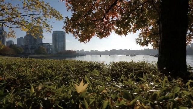 AI and the Future of Cities смотреть онлайн