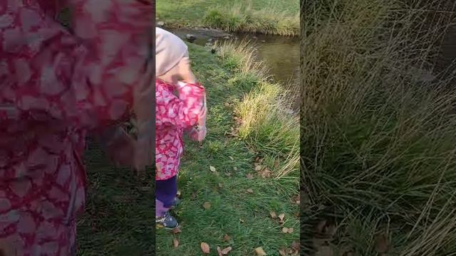 Настя и Тима.mp4 смотреть онлайн