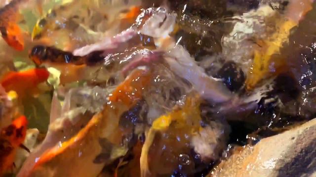 окончательный