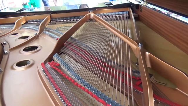 Piano al carrer. El Maria Canals porta Cua...a Terrassa! 21/06/17 смотреть онлайн