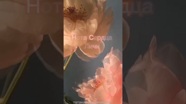 Женский парфюм Хризантема для успешного карьерного роста! смотреть онлайн