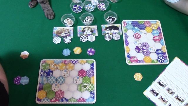 Играем в настольную игру КОТИКИ. смотреть онлайн