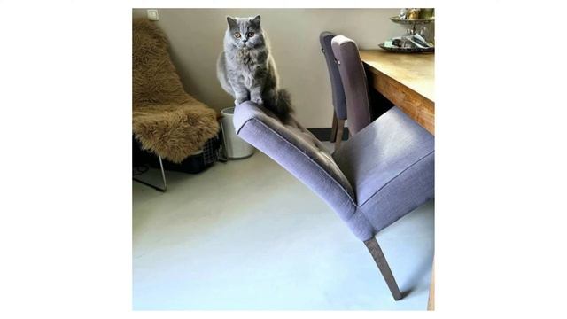 Девочка одуванчик, лучик солнца и прикольные кадры. смотреть онлайн