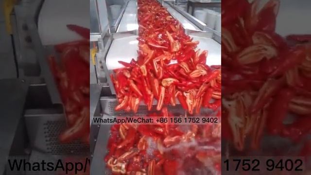 Air bubble vegetable washer black pepper and chilli cleaning machine oyster washing machine смотреть онлайн