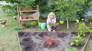 Супер красивая клумба своими руками. Самые лучшие многолетники