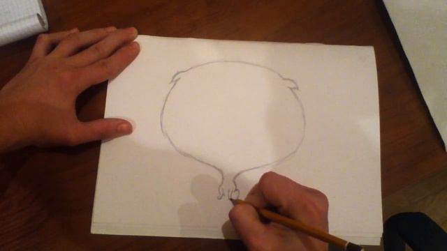 видео урок : рисуем кота , простой выриант) смотреть онлайн