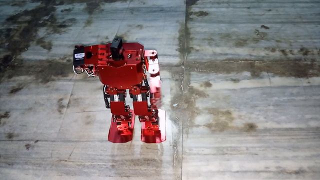 Humanoid Robot 17 DOF, Robo-Soul H3.0 Biped Robotics Humanoid Robot