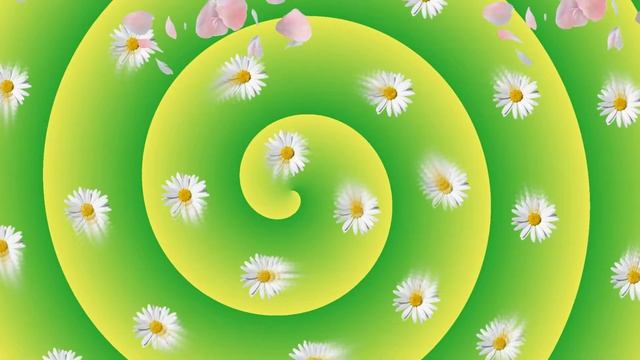 Видео заставка с цветами и вращением