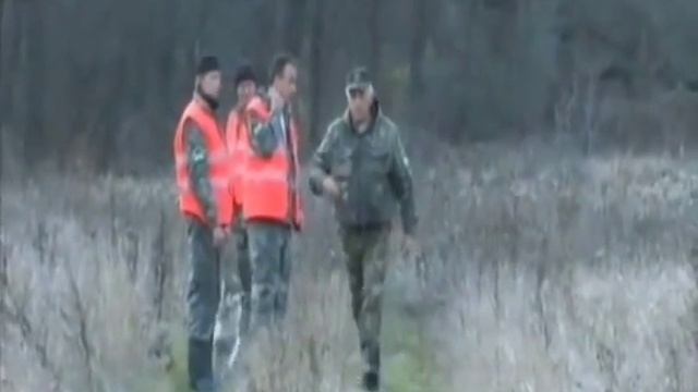 Особенности охоты на руси Охота на кабана з подхода смотреть онлайн