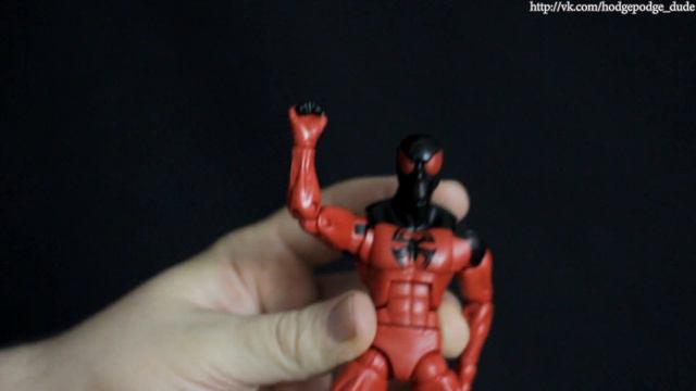 Обзор фигурки Marvel Legends Scarlet Spider (Алый Паук) от Hodgepodgedude