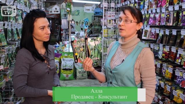 Суперпучковые гибридные огурцы ☆ Урожайные семена ☆уральский дачник смотреть онлайн