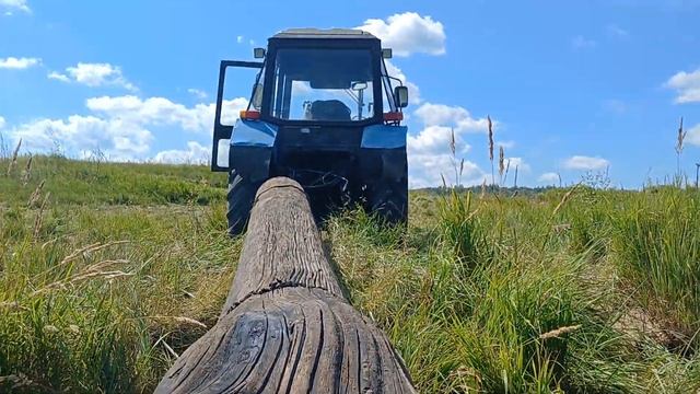 Как выглядит мореный дуб!?